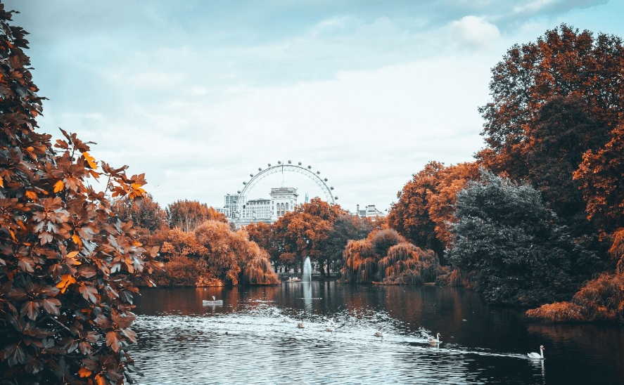 best time hair transplant london