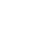 solidarity 1